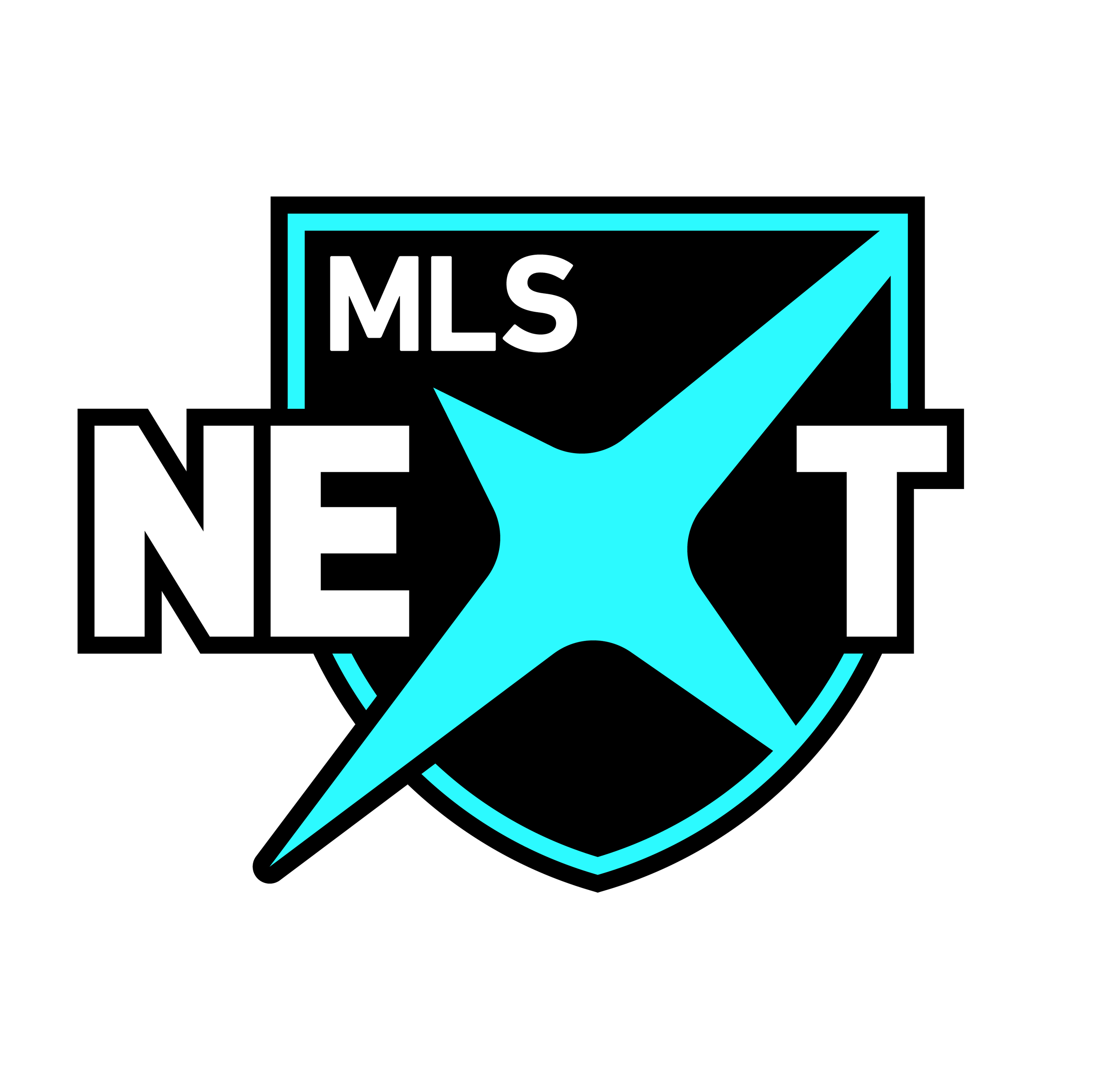 mls logo
